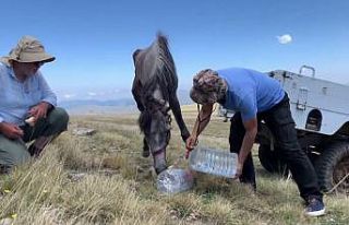 Yuları kayaya dolanan at, 20 sonra amatör telsizciler...