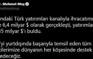 Yurt dışındaki Türk yatırımların cirosu 35...