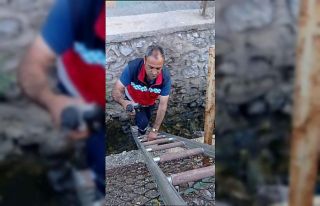 Yuvadan düşen yavru kargayı itfaiye ekibi kurtardı