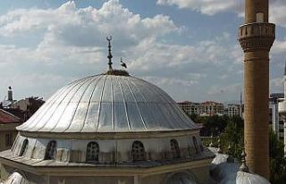 Yuvadan düşen yavru leyleği itfaiye ekipleri kurtardı