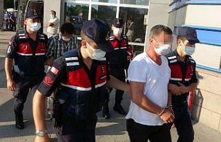 140 bin kök kenevir bitkisi ele geçirildi, 2 kişi...