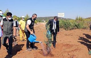 15 Temmuz kahramanı Halisdemir ormanına fidan dikimi
