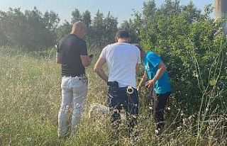 2 bin yıllık "hoşçakalın" mesajı