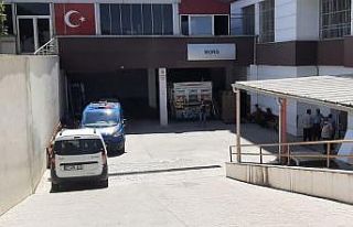 8 Yaşındaki çocuk ağaç altında ölü bulundu