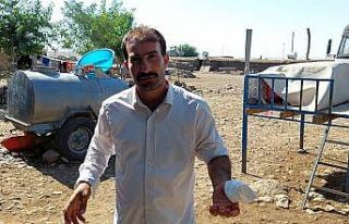 Acemi kasap elini kesti