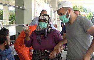 Acemi kasaplar hastanelik oldu