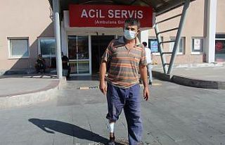 Acemi kasaplar iş başında