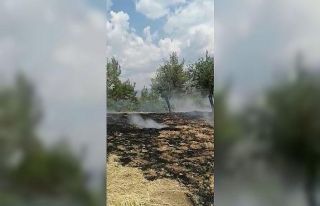 Acıpayam’da orman yangını çıktı