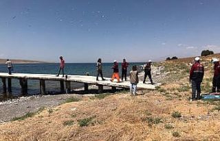 Adadaki ölü martılar toplatıldı