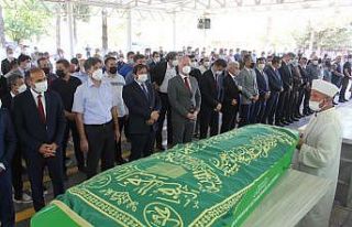 Adalet Bakanlığı Ceza İşleri Genel Müdürü...