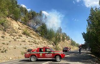 Adana’da orman yangını