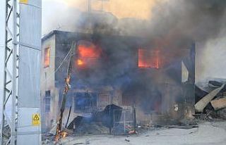 Adana’daki orman yangınında evler alevlere teslim...