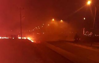 Adıyaman’da anız yangını: 4 kişi dumandan zehirlendi