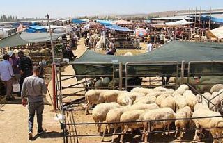 Afyonkarahisar’da kurban satış ve kesim yerleri...