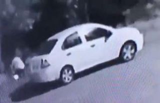 Ağacı ateşe vermeye çalıştıkları o an kamerada