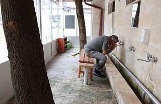 Ağaçları kesmeye gönülleri el vermedi, ortaya...