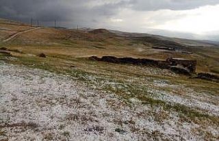 Ağrı’da dolu yağışı