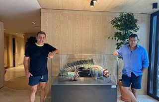 Ahmet Güneştekin Mgallery The Bodrum’daki eserleri...