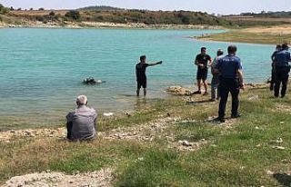 Ailesiyle piknik yaparken göle giren küçük çocuk...