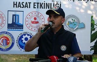 AK Parti’li Turan, Bayramiç Beyazı hasat etkinliğine...