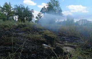 Akaryakıt istasyonunun yanındaki boş arazide çıkan...