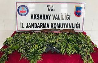 Aksaray’da jandarmadan uyuşturucu operasyonu