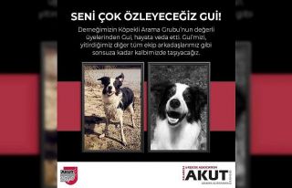 AKUT’un emektar arama köpeği Gui hayatını kaybetti