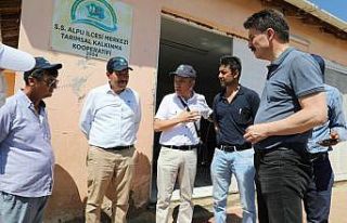Alpu’da binlerce ton yem bitkisinin paketleneceği...