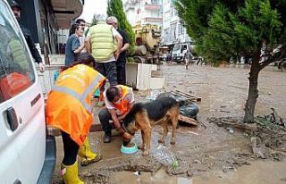 Altınordu Belediyesi, selden etkilenen Artvin’de...