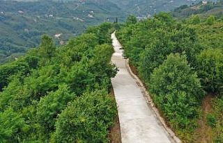 Altınordu’da beton yol seferberliği sürüyor