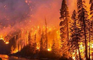 Altınova itfaiyesinden orman yangını uyarısı