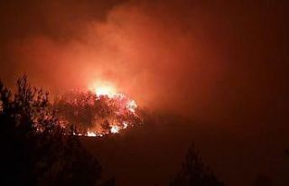 Amanoslar’da orman yangını