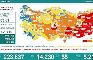 Amasya aşı haritasında ‘Mavi’ renkte