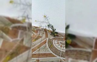 Amasya’da binanın 4. katında fayans arasından...