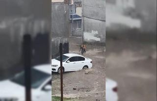 Aniden bastıran yağmur çocukları sürüklüyordu