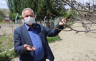 Anız yakanlar dikkat, para cezası uygulanıyor