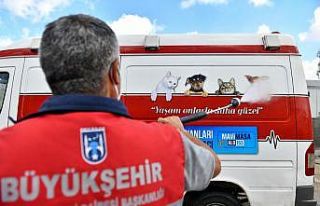 Ankara Büyükşehir Belediyesinden sokak hayvanlarına...
