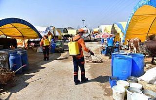 Ankara Kurban Bayramı’na hazır