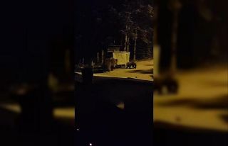 Anne ayı ve 2 yavrusu kamerada