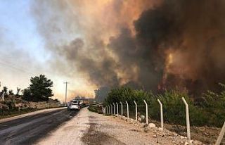 Antalya’daki orman yangını büyüyor