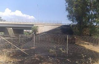 Araç içinden atılan izmarit yangına sebep oldu