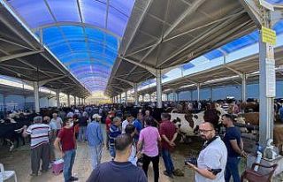 Arefe günü Kurban pazarları hareketlendi