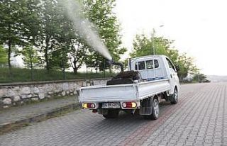 Arifiye Belediyesi ilaçlama konusunda sınıfta kaldı