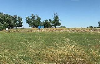 Arıların saldırısına uğrayan 5 kişiden biri...