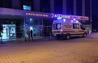 Arının soktuğu şahıs hayatını kaybetti