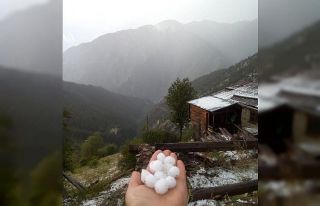 Artvin’de dolu yağışı etkili oldu