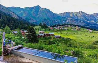 Artvin’in yaylalarında hayat hem zor hem keyifli