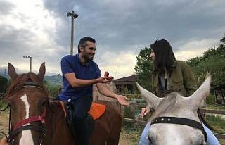 At üzerinde evlilik teklifi