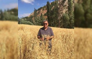 Ata tohumlar yüz güldürecek