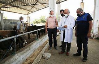 Atakum Belediyesi’nden e-kurban ve e-kesim yerleri